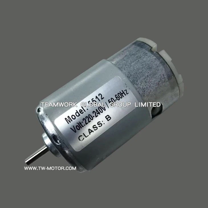 Brushless DC Motor