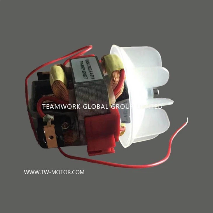 Small Hairdryer Motor