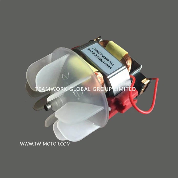 Small Hairdryer Motor