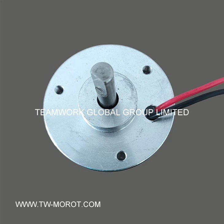 HydroFlow DC Pump Motor