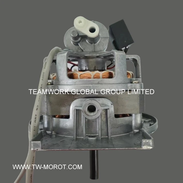 Industrial Ventilation Motor