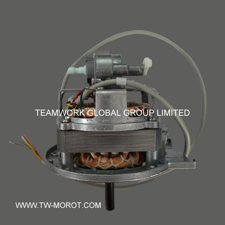 Industrial Ventilation Motor