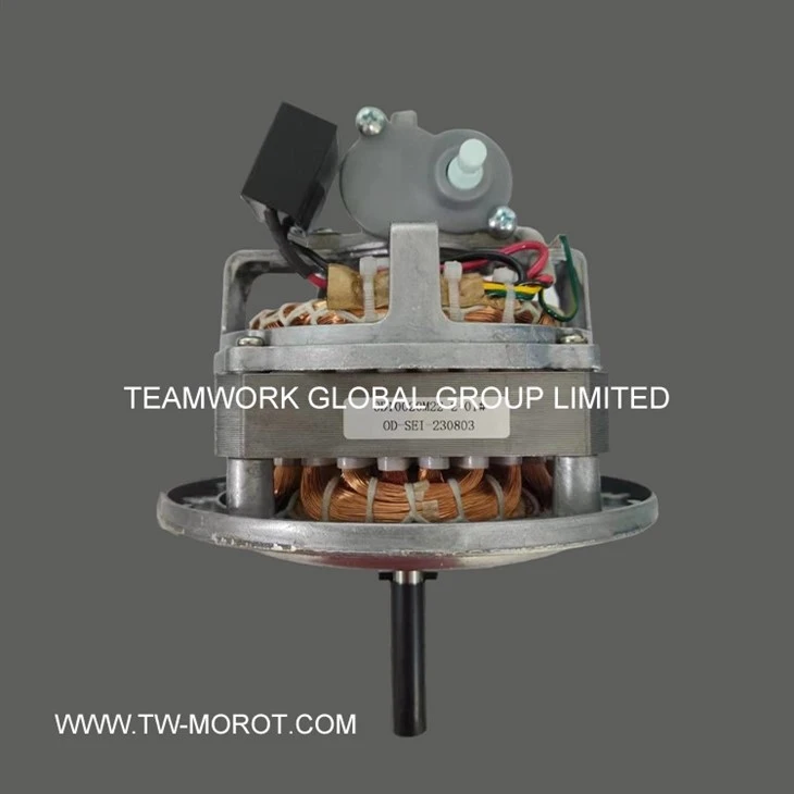 Industrial Ventilation Motor