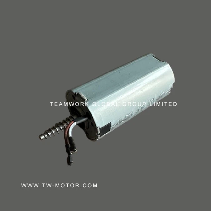 Micro Electric Tool Motor