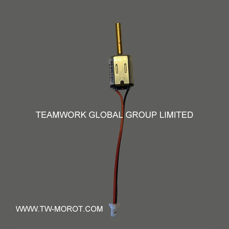 Smart Door Lock Motor