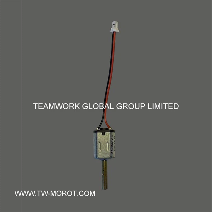 Smart Door Lock Motor